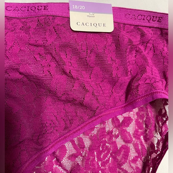 🆕🌼CACIQUE All Lace Hipster🌼 - Picture 4 of 7